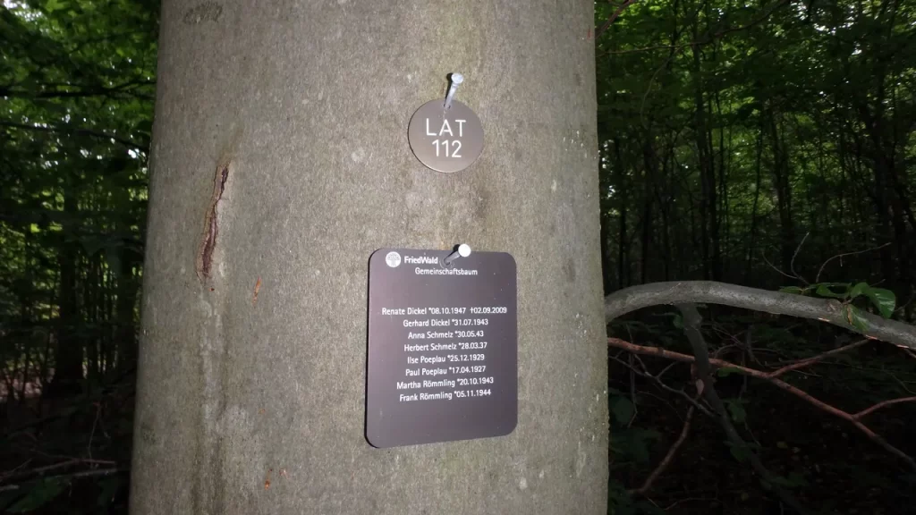 Beispiel-Waldfriedhof-Baum-mit-verstorbenen